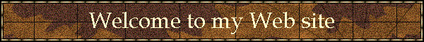 Welcome to my Web site